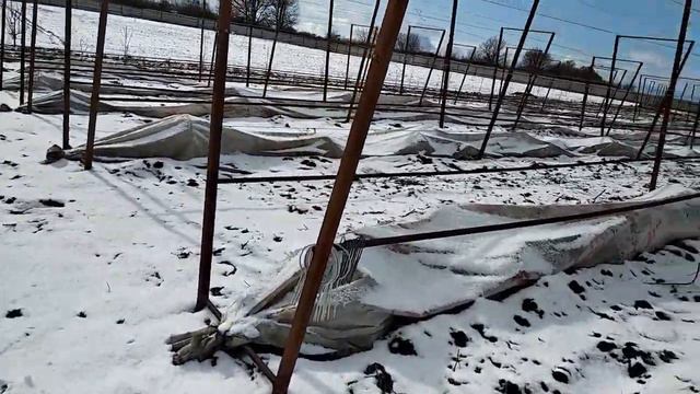 Мое поздравление с прошедшим 8 марта! смотреть онлайн