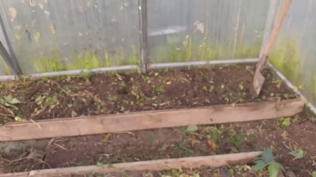 Осенние работы в теплице смотреть онлайн