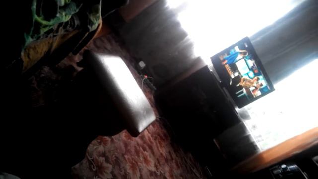 Кто нибудь видел мини собаку смотреть онлайн