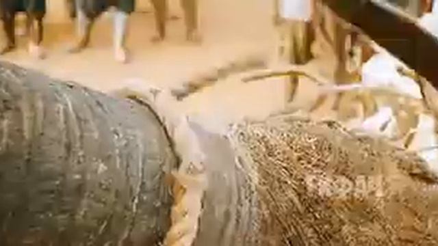 Индийское кино смотреть онлайн