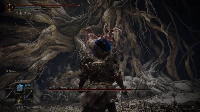 How to dodge Malenia's Flower Dive Bomb attack in Elden Ring смотреть онлайн
