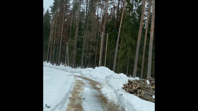 Едем задом наперёд смотреть онлайн