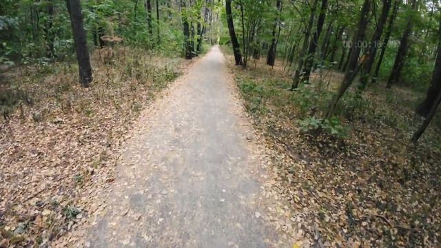 Лабрадор Кира 8 месяцев смотреть онлайн