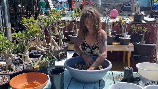 Cactus,Cactus,Cactus,  How Beautiful April 1, 2023