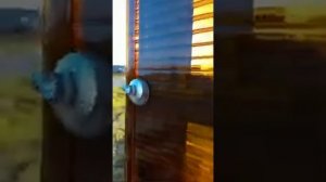 забор из поликарбоната