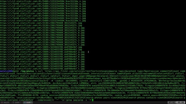 Web Scraping : Scraping Flickr with cURL for Fun Tutorial смотреть онлайн