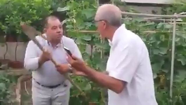 Toti e totino смотреть онлайн