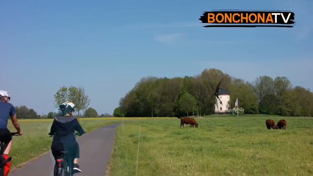 7 accesorios indispensables para andar en bicicleta. смотреть онлайн