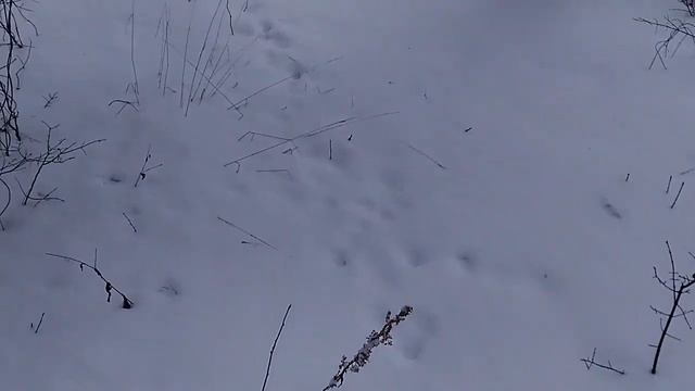 Уголки Родины #1 - Зима на Русской Равнине смотреть онлайн
