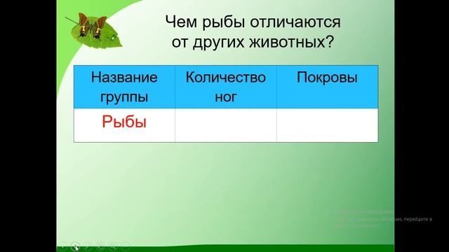 родина животный мир смотреть онлайн