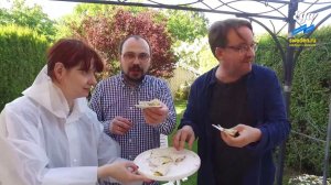 Что такое сюрстрёмминг: пробуем шведскую тухлую селедку