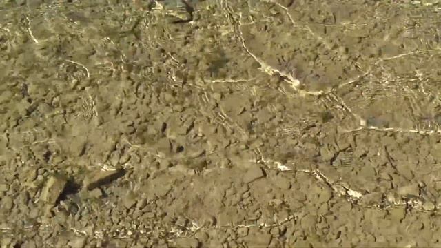 озеро в орлином смотреть онлайн