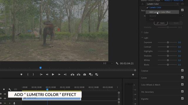 Mcpro24fps L  HOW TO SHOOT S-LOG 3 ON SMARTPHONE & COLOR GRADING IN NLE ( PREMIERE PRO )
