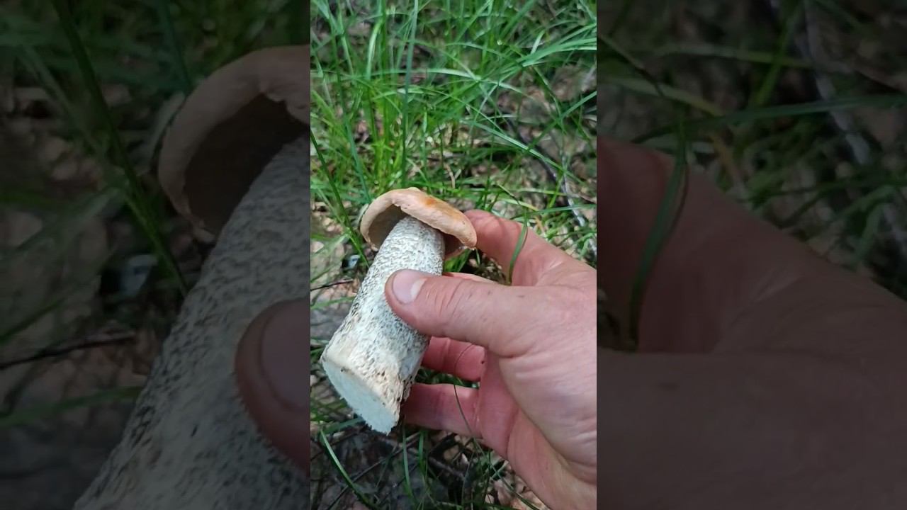 21 июля 2023 г. смотреть онлайн