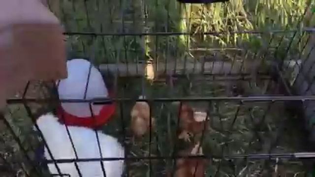 Все ждут тепла! смотреть онлайн