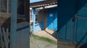 Деревня Таволга