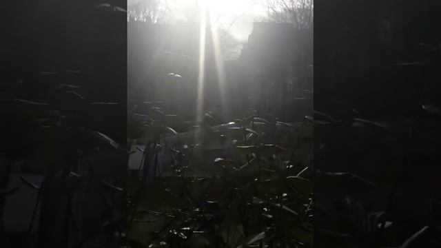 А вдруг/Детская площадка/Chatelet/Paris2020 смотреть онлайн