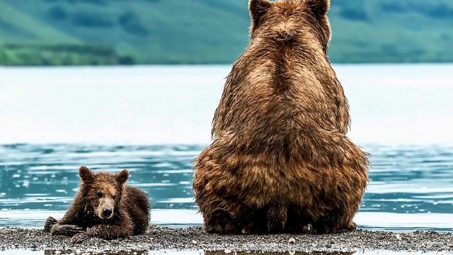 Russian Bears Jump Aboard A Nuclear Submarine