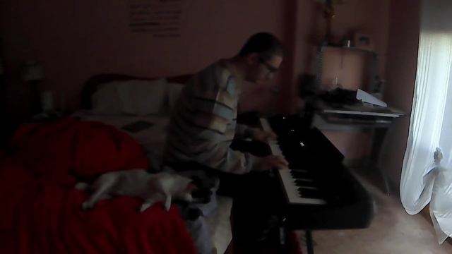 Comptine d'un autre ete - Piano Cover (Roland FP 90) смотреть онлайн