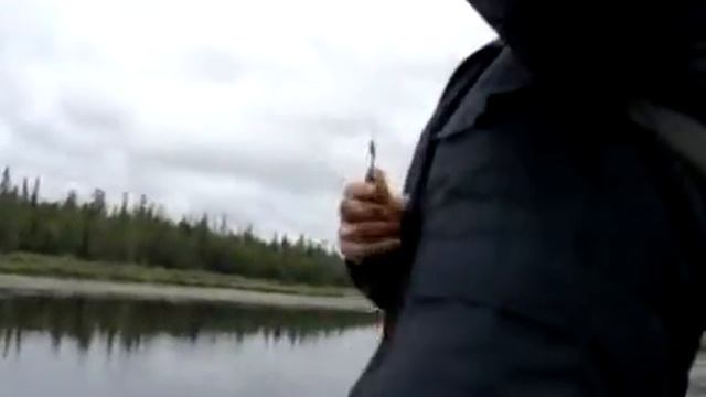 Старица пякупура, 2009 смотреть онлайн