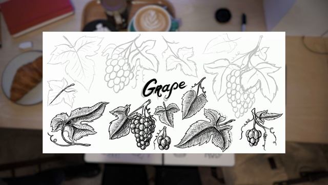 Рисую виноград в Procreate на iPad. Процесс рисования, engraving.hand drawn иллюстрация от руки. смотреть онлайн