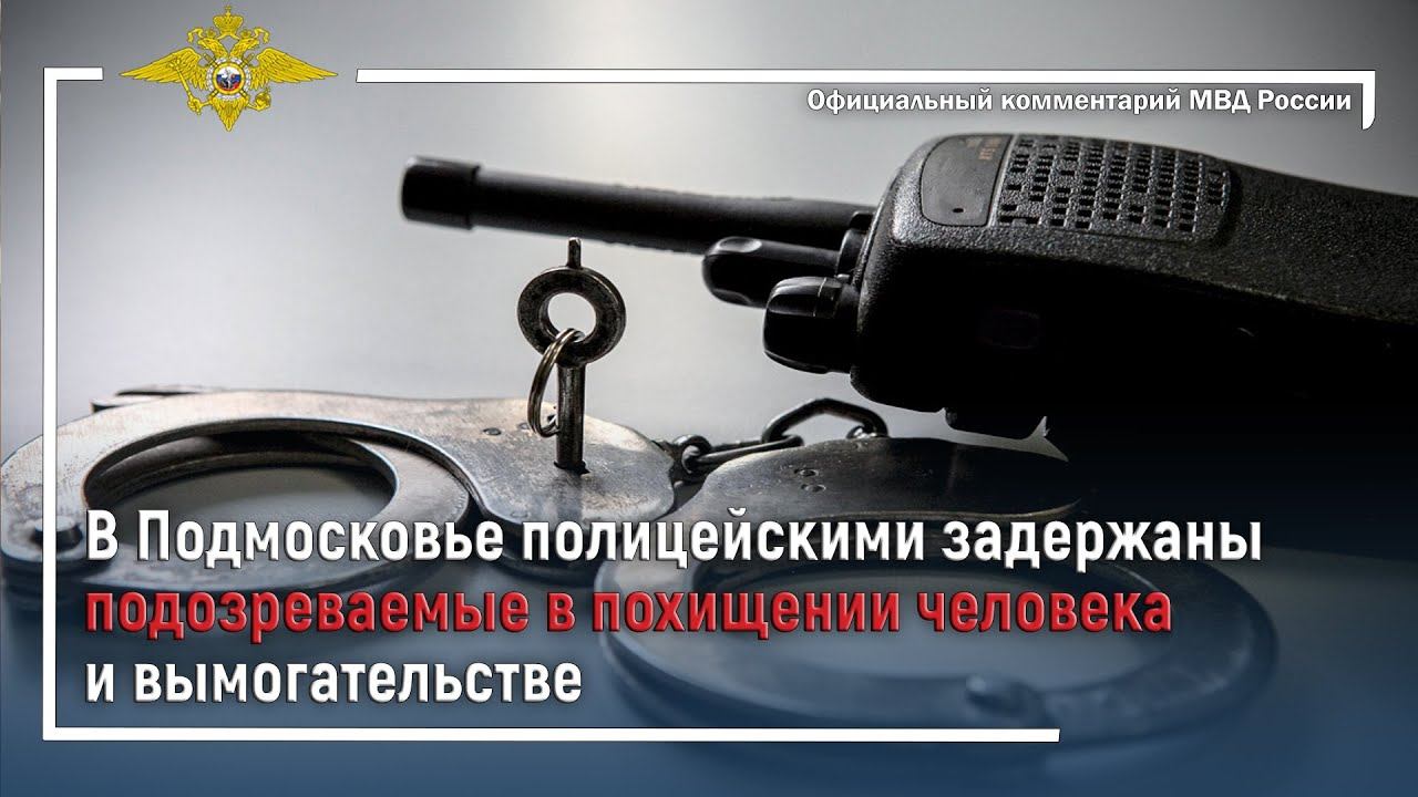 Ирина Волк: В Подмосковье полицейскими задержаны подозреваемые в похищении человека и вымогательстве смотреть онлайн