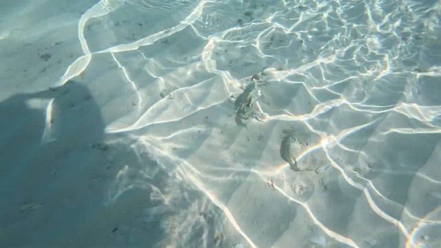 Cuba 2023 Memories Flamenco Resort | Cayo Coco смотреть онлайн
