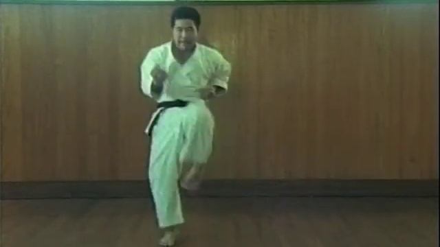 Gekisai dai ichi Kata смотреть онлайн