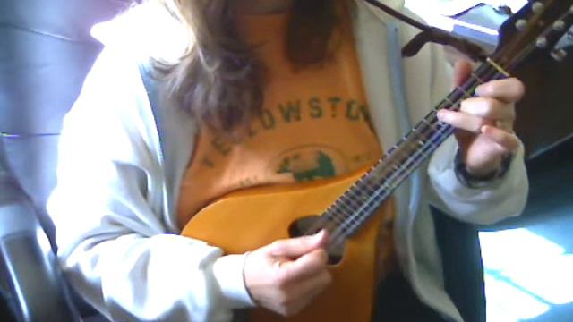 Coleraine on Weber Y2K Mandolin смотреть онлайн