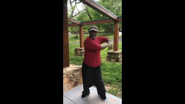 Тайцзицюань (Циньна - техника захватов) смотреть онлайн