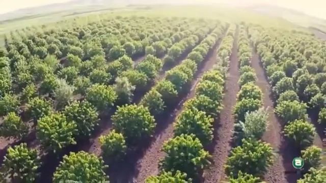 Beauty of Tajikistan (красота Таджикистана) смотреть онлайн