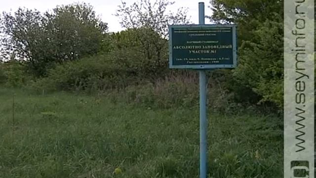 Курская жемчужина смотреть онлайн