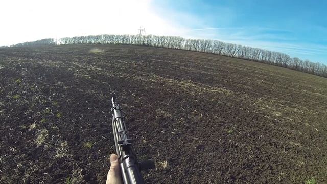 Охота с тазы на зайца русака смотреть онлайн