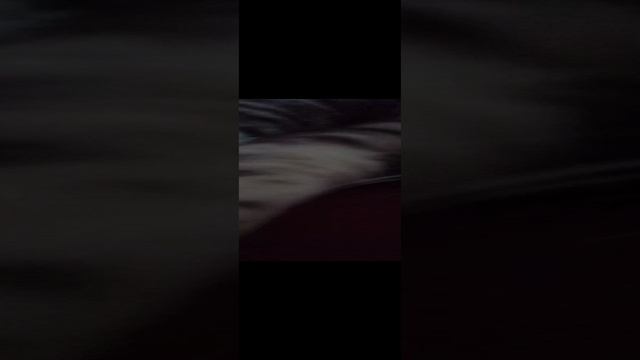 у моего кота сегодня депрессия.