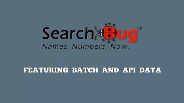 How to Validate Phone Numbers with an API using JSON смотреть онлайн