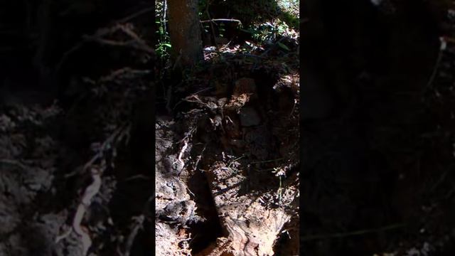 Коп порадовал, находки супер! смотреть онлайн