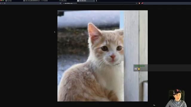 VueJS Hackathon! Let's build a Kittie Clicker app. смотреть онлайн