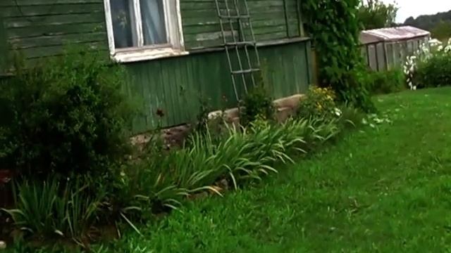 Суббота. Сад.Аисты