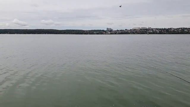 Кубок Воронежской области по фидерной ловле 2022. Второй тур смотреть онлайн