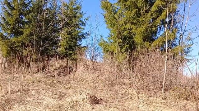 Природа. Крепкий сон ,релакс 24/7 смотреть онлайн