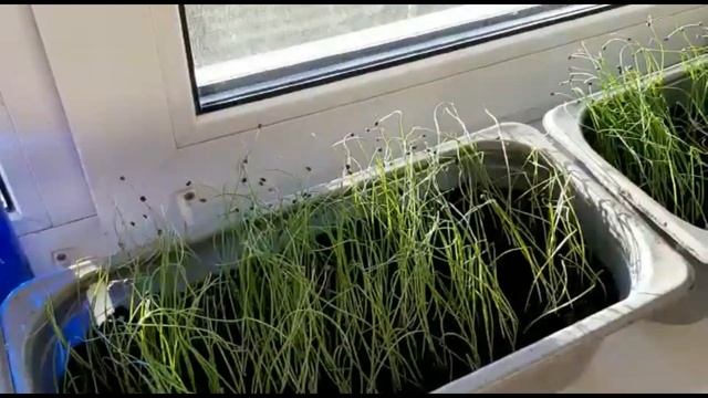 Отзывы покупателей - Дмитрий Беларусь, г.Минск смотреть онлайн