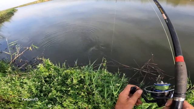 Этот водоем кишит рыбой!Попали на раздачу рыбы ! Жор сазана в августе. смотреть онлайн