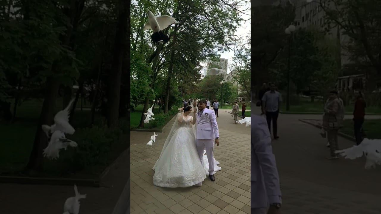 harsaniq #свадьба смотреть онлайн