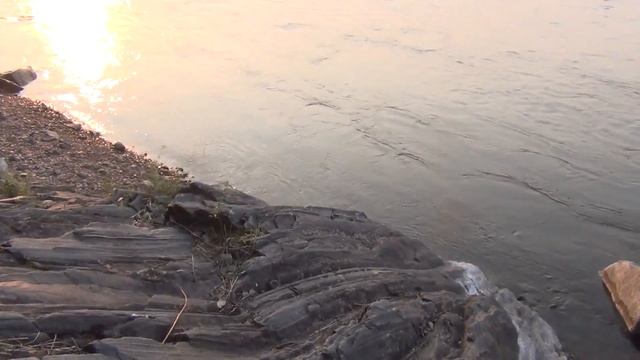 Белый гриб - ПЕРВЫЙ в 2016 году. И как жарить белые грибы. Тайга, охота, сибирь, рыбалка, медведь. смотреть онлайн