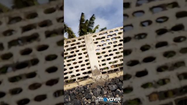 Последний день на островах? Воруем и едим бананы. (сорян что плохо слышно) смотреть онлайн