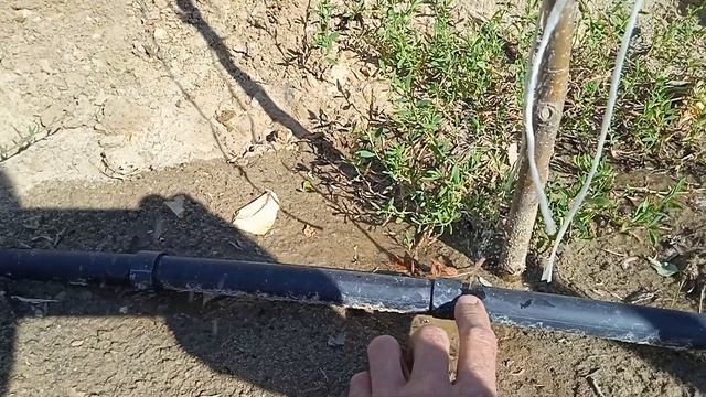 вечный капельный полив своими руками(1)