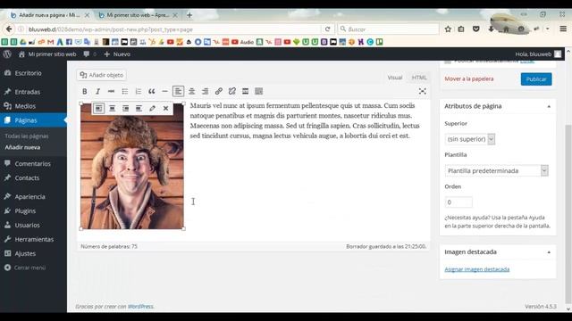 11. Agregando otra pestaña al menú principal en Wordpress смотреть онлайн