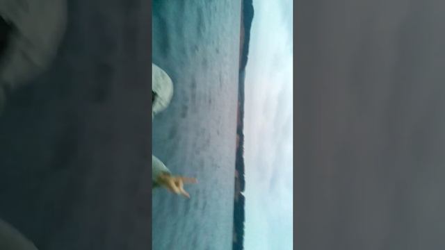 Судак на Каме июнь 2015 смотреть онлайн