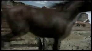 Bryan Adams - Here I Am