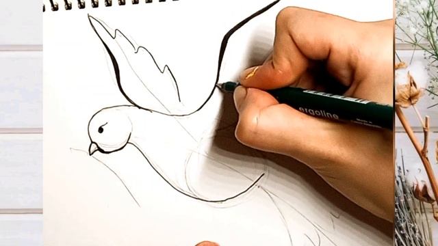 як намалювати голуба миру легко/как нарисовать голубя мира просто поэтапно смотреть онлайн